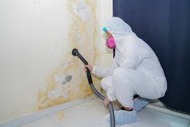 Why You Should Choose Our Mold Remediation Services in Kalaeloa, HI